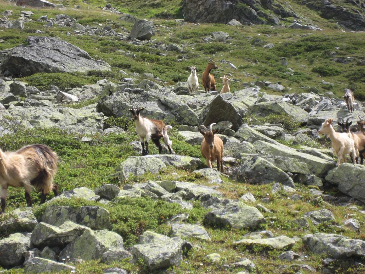 Apart Larcher Kaunertal Luaran gambar